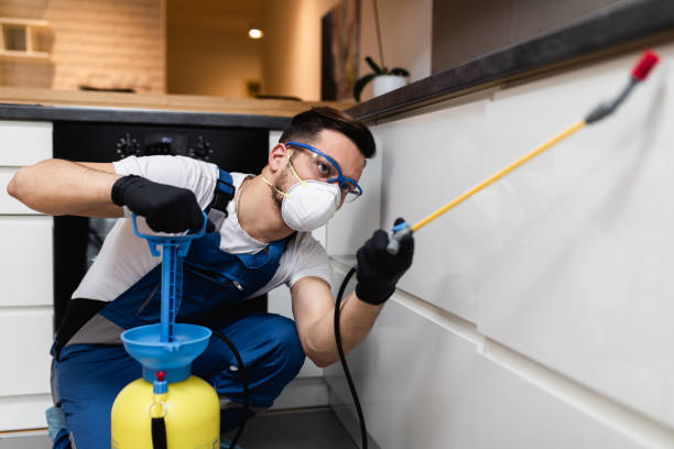 Best Mosquito Control Services  in Sutherlin, OR