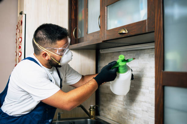 Best Pest Control Near Me  in Sutherlin, OR