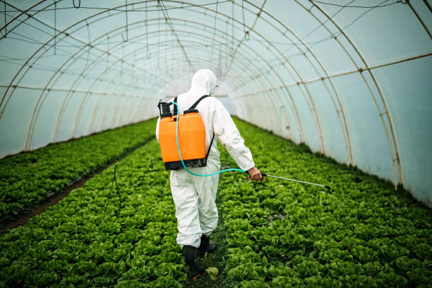 Best Pest Inspection Near Me  in Sutherlin, OR