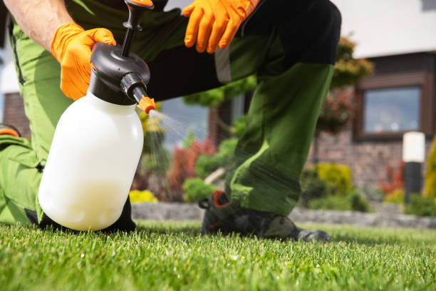 Trusted Sutherlin, OR Pest Control Experts