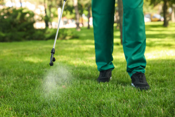 Best Spider Control Near Me  in Sutherlin, OR