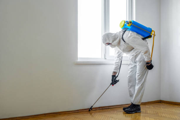 Best Wasp Removal Services  in Sutherlin, OR