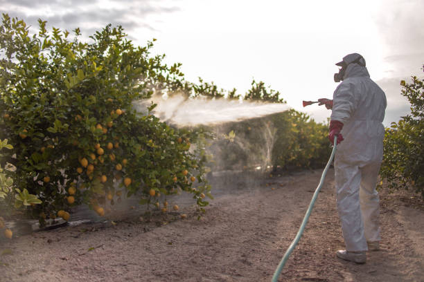 Best Insect Control  in Sutherlin, OR