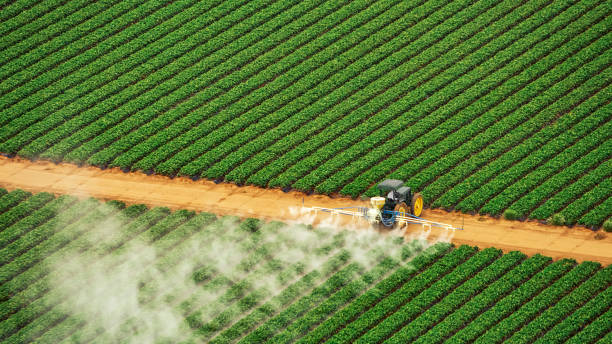 Best Termite Control Services  in Sutherlin, OR