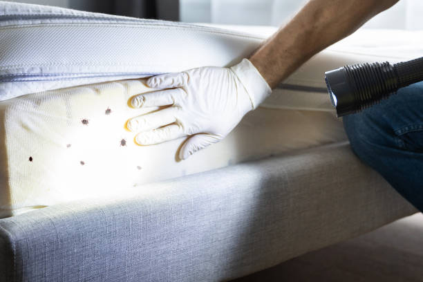 Best Pest Prevention Services  in Sutherlin, OR