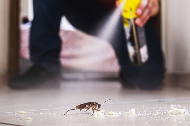 Pest Prevention Services in Sutherlin, OR