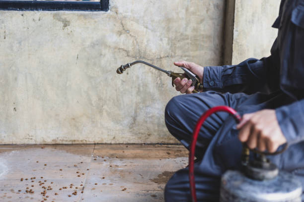 Best Termite Control Services  in Sutherlin, OR